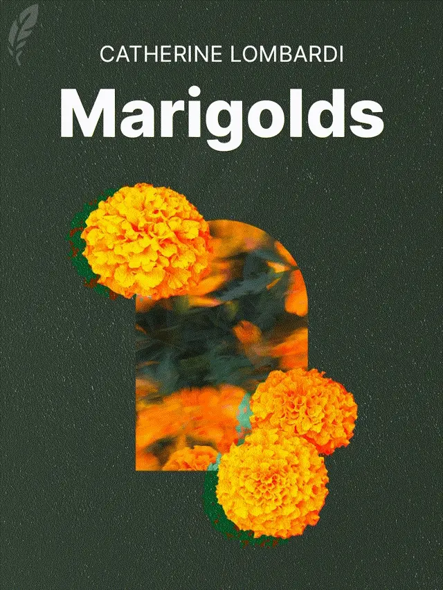 Marigolds by Catherine Lombardi designed by Fabuly - Free Classic Audiobooks App