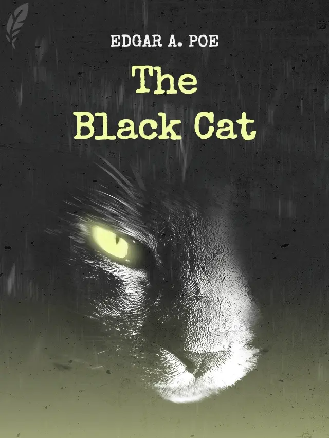 The Black Cat book cover